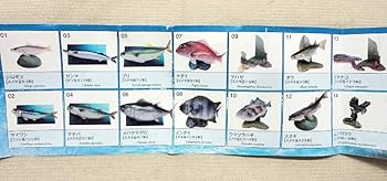 Amazon.co.jp: 原色海水魚図鑑2 ボラ 4個セット ユージン 原色